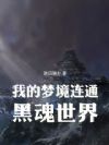 我的梦境连通黑魂世界